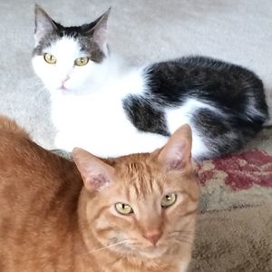 Meet your Posher, Tracy